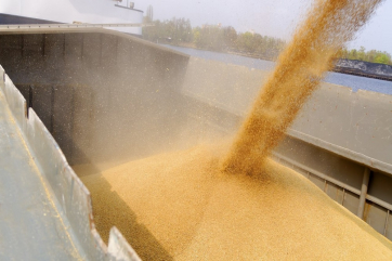 Россия в январе увеличила экспорт зерна почти на 18 процентов